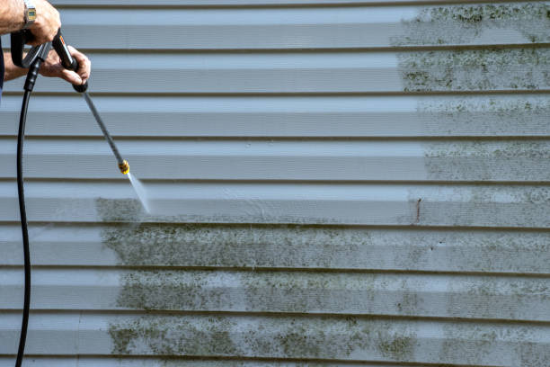 Best Residential Junk Removal  in Port Vue, PA
